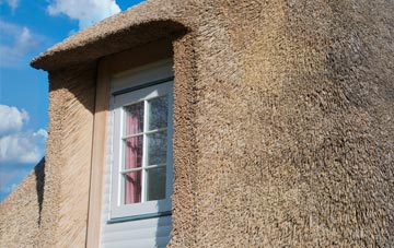 Wern Y Cwrt thatch roof disadvantages